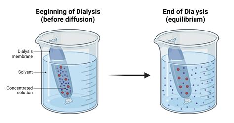 do i need to autoclave dialysis buffer|protein dialysis buffer settings.